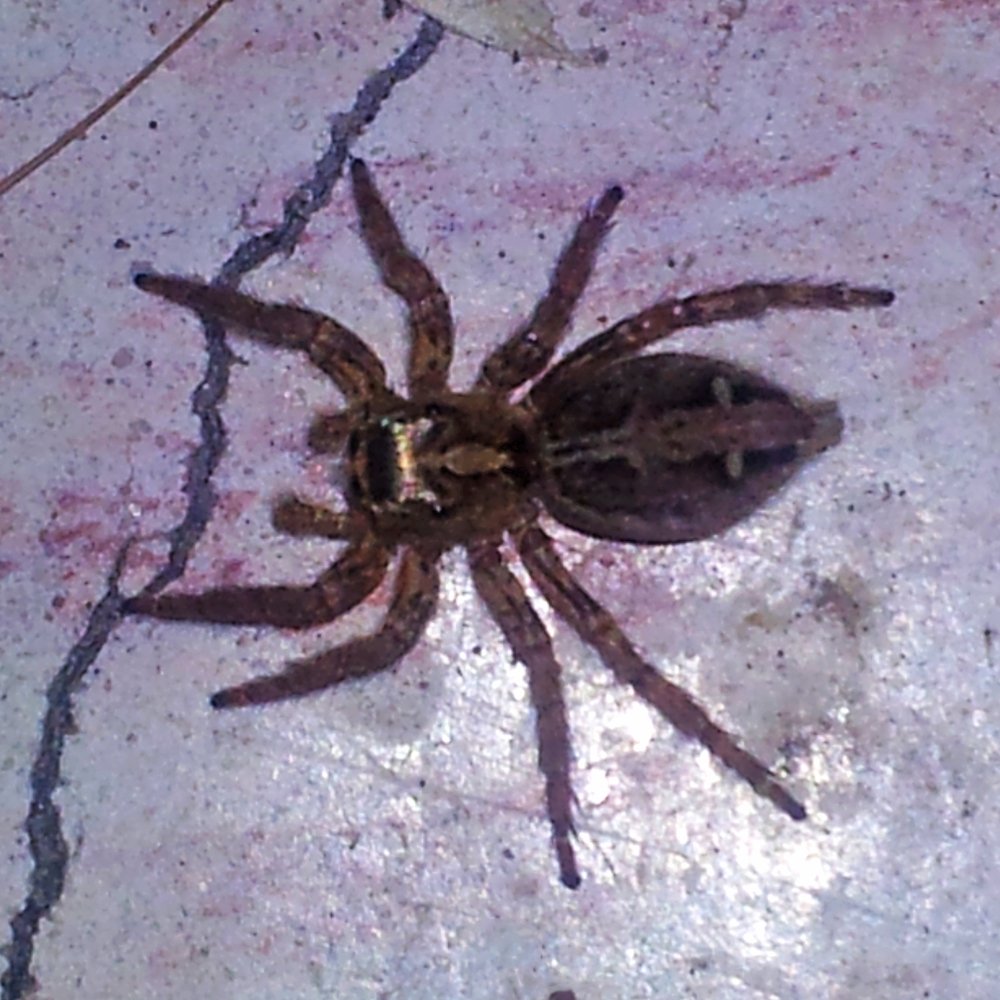 20120526_123049